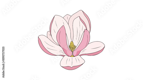 A delightful artistic portrayal of a vibrant delicate pink bloom centered against a pristine white backdrop exuding fresh botanical charm and serene
