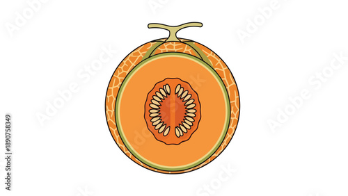 Fresh cantaloupe cross-section revealing bright orange pulp and central seed cavity