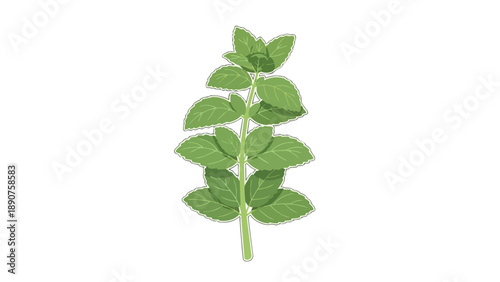 Stylized vibrant green plant stem with lush, fresh leaves, presented as a clean, simple illustration. Isolated on a pure white background, ideal for
