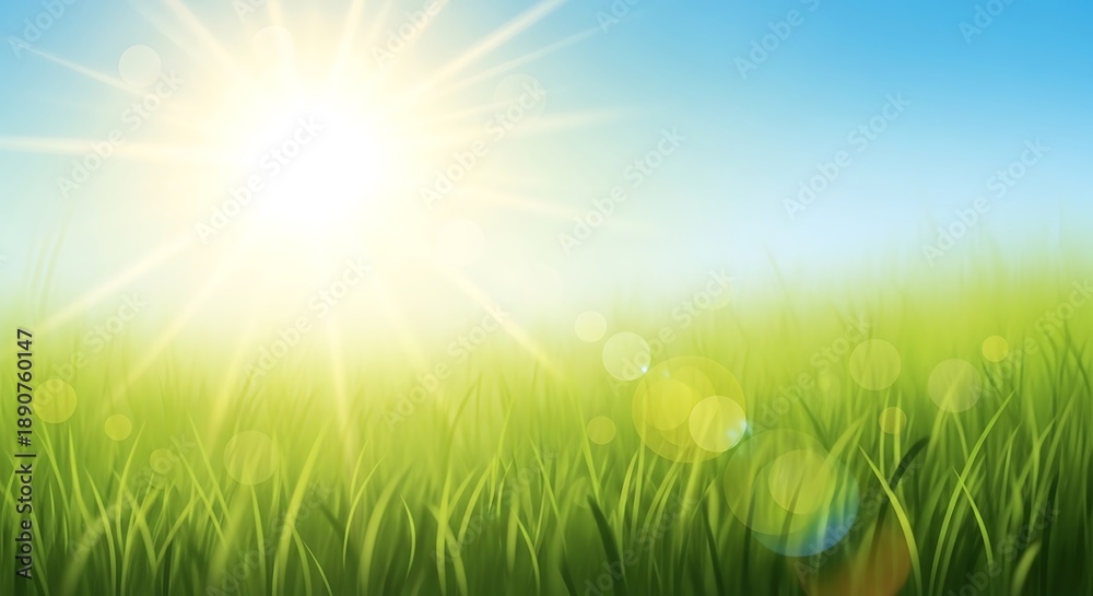 Obraz premium Sun shining brightly over a lush green grass field on a clear blue day from a low angle viewpoint