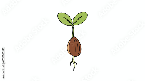 A clean cartoon illustration showing a young plant emerging from its seed with two green leaves and fine roots symbolizing new life initial growth
