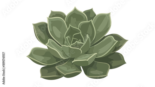 A captivating stylized digital illustration showcasing a vibrant green succulent plant forming an exquisite rosette, perfect for botanical themed