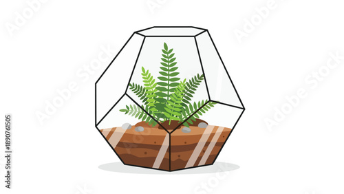 Geometric glass terrarium with lush fern plant and layered soil ecosystem in a minimalist illustration style