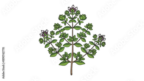 Artistic botanical rendering of a vibrant, fresh herb with lush green leaves and delicate purple-white flower buds, representing pure natural growth