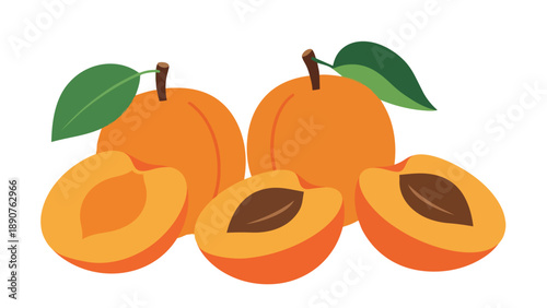 A delightful illustration showcasing fresh, ripe apricots in various states, including whole fruits with green leaves attached and perfectly sliced