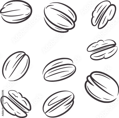 Minimalist of nine whole and halved pecan nuts food ingredient healthy