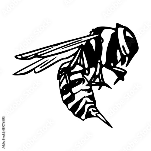 wasp or hornet silhouette illustration with detailed wings