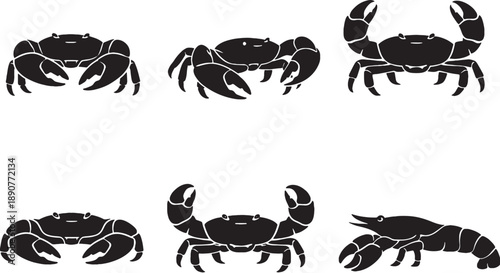 Mud Crab Silhouette Black White Crustacean eps