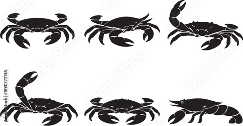 Mud Crab Silhouette Black White Crustacean Bundle