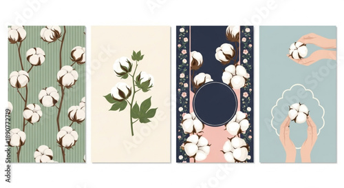 cotton plant designs and seamless patterns, ideal for organic product branding, natural fabric textures, and elegant textile packaging concepts