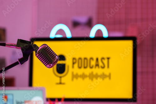 Professional microphone in ...