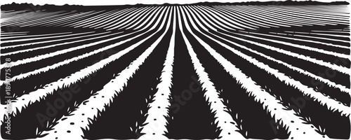 Black and white illustration of a vast agricultural field
