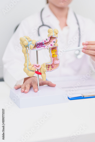 Bild auf Leinwand Elderly woman Patient consultation with doctor for Colon disease, Large Intestin