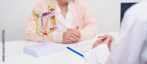 Obraz na płótnie Elderly woman Patient consultation with doctor for Colon disease, Large Intestin