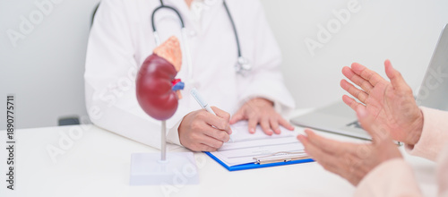 Quadro su tela Elderly Patient consultation with doctor for Kidney disease, Urinary system and