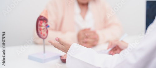 Photos Elderly Patient consultation with doctor for Kidney disease, Urinary system and