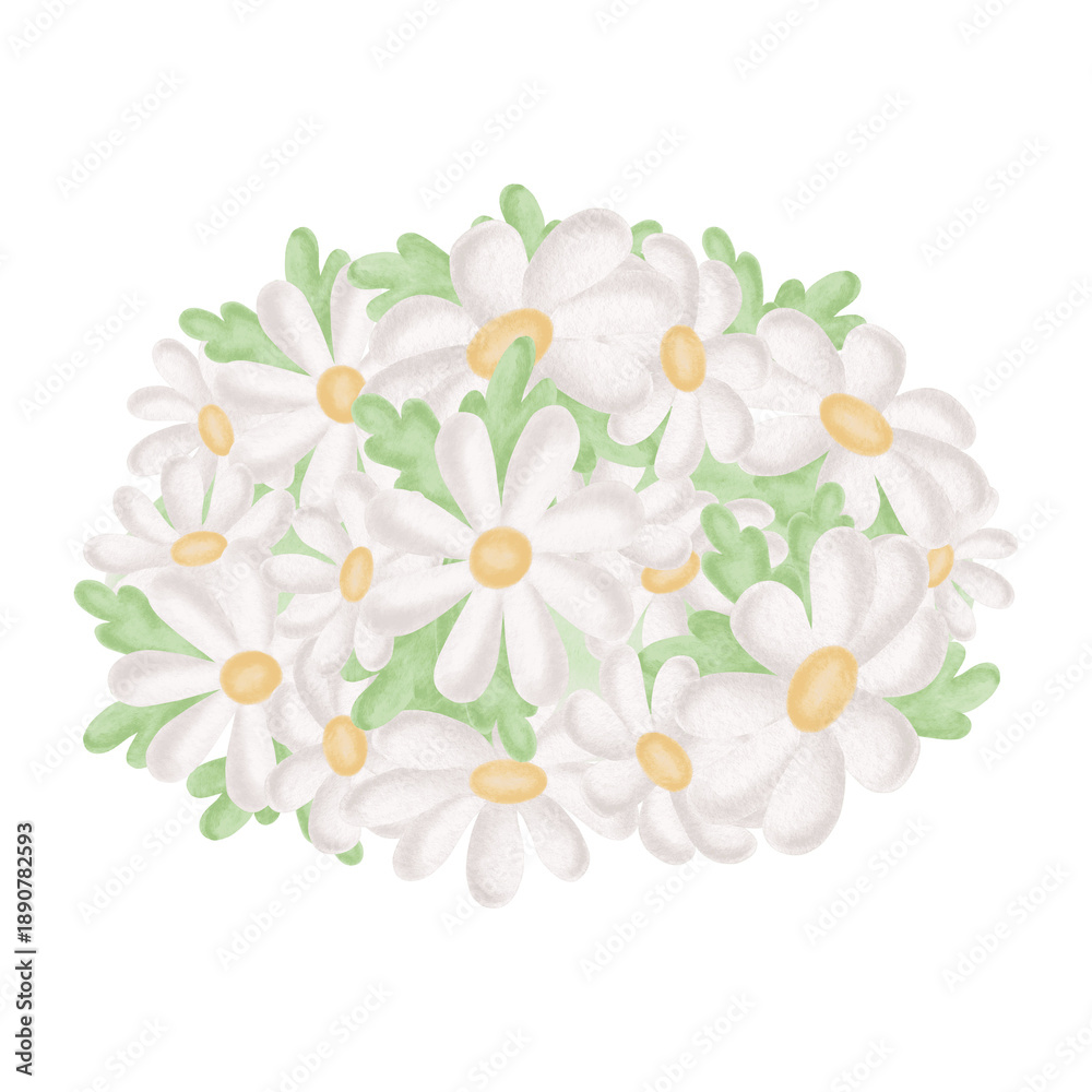 Obraz premium Chamomiles white bouquet with leaves watercolor painting in kids style. Daisy flowers illustration for Easter greeting card Hand-drawn isolated flowering plant. Floral clip art for baby shower design.