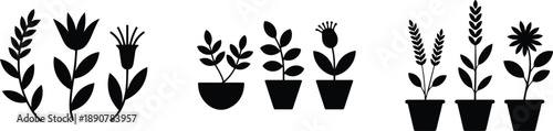minimal botanical plant silhouette set with leaves flowers and potted plants vector