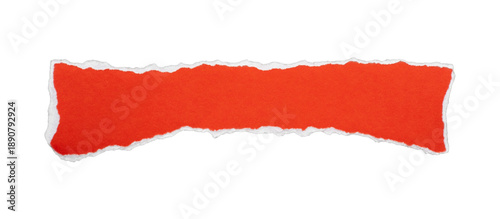 Wallpaper Mural Orange torn paper curved banner with ripped edges, isolated on transparent background Torontodigital.ca