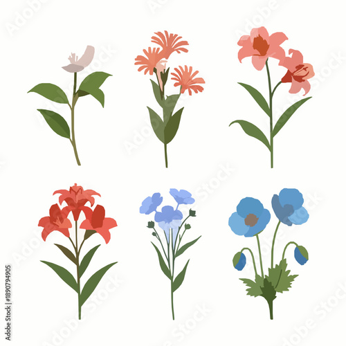 Stylized colorful flower illustration set isolated on white background for design and advertising