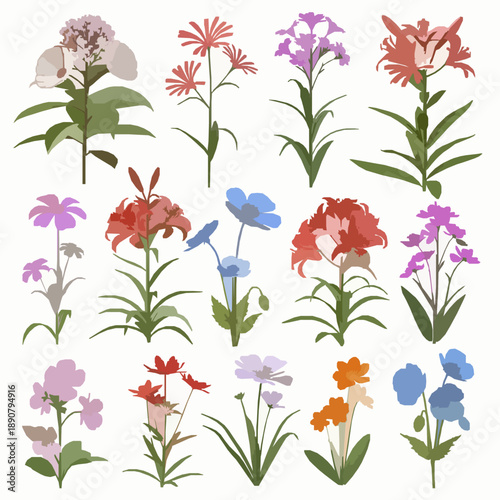 Generative AI colorful flower collection isolated on white background ornamental botanical set