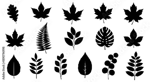 Modern stainless steel whisk with a comfortable grip handle, perfect for beating eggs and sauces.