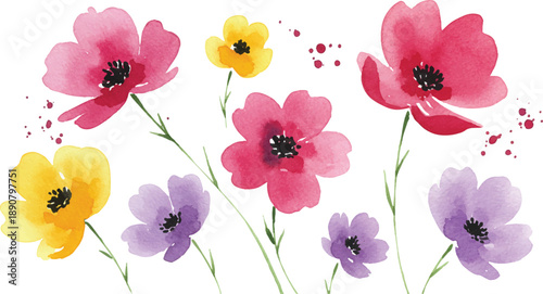 Vibrant flowers in full bloom, showcasing petals and stems in a colorful arrangement viewed from directly above.