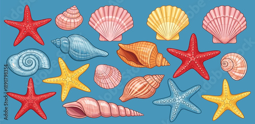Vibrant ocean treasures collection featuring seashells and starfish on a blue background, viewed from directly above