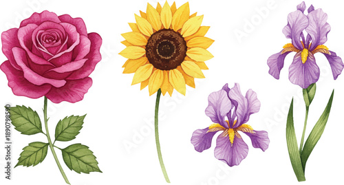 Vibrant flowers including a rose, sunflower, and irises displayed together in a floral arrangement