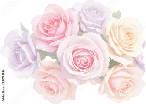 A bouquet of pastel roses in various stages of bloom arranged closely together viewed from directly above