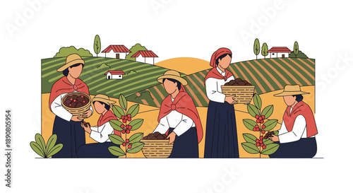 Women harvesting coffee in a rural farm setting