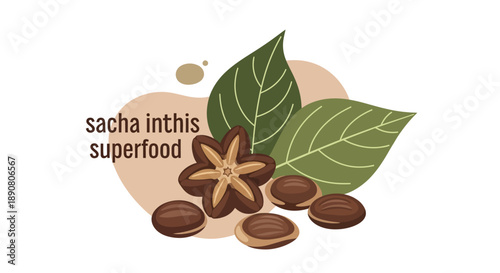 Sacha Inchi superfood with seeds and green leaves