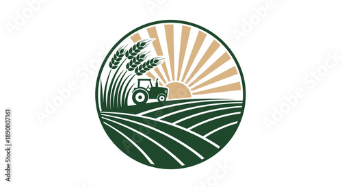 Tractor working in a field at sunrise with crops.