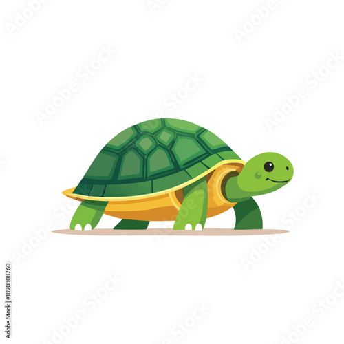 Illustration of a turtle walking on a flat surface, showcasing its green shell and yellow belly in a simple, cartoonish style.