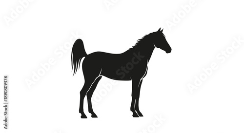 Silhouette of a standing horse with tail raised.