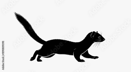 Silhouette of a small mammal walking with tail raised.