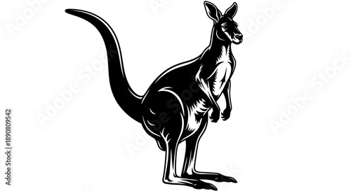 Black silhouette illustration of a standing kangaroo facing sideways.