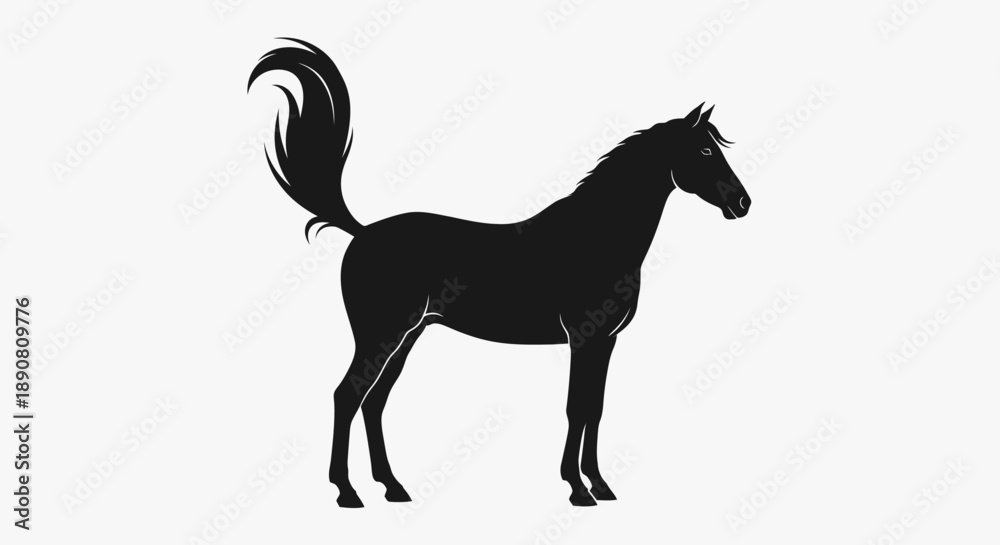 Obraz premium Silhouette of a horse standing with tail raised against white background.