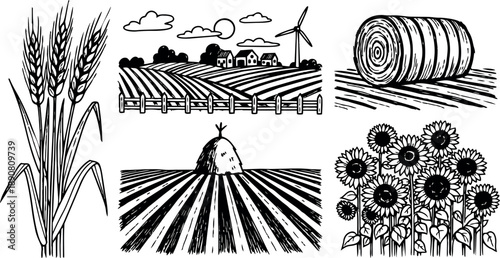 Detailed hand drawn ink style wheat stalks hay bale and sunflower field with rural farming village and windmill landscape