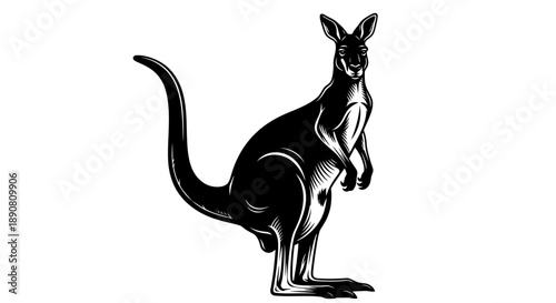 Silhouette of a kangaroo standing upright with detailed shadow highlights.