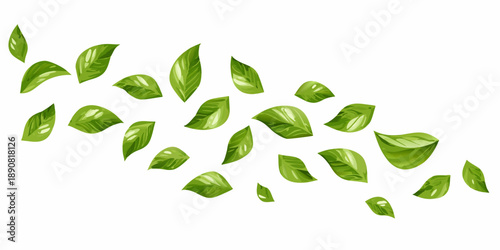 A scattering of vibrant green leaves floating on a white background