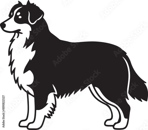 Australian Shepherd Silhouette