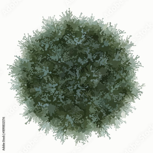 Top view flax ground cover plant set isolated on white background for landscape planning