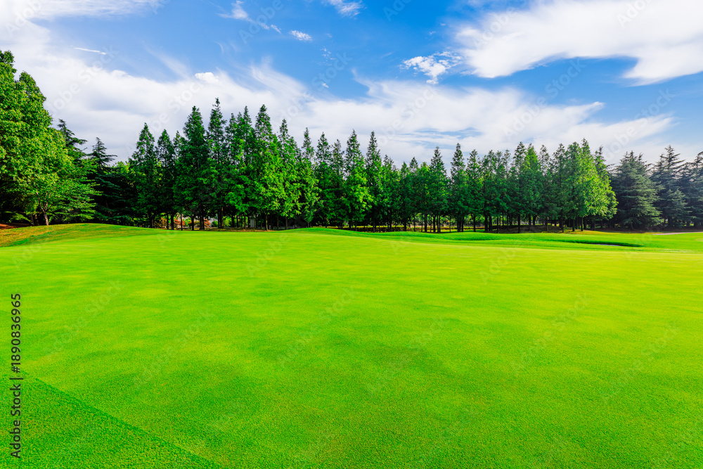 Fototapeta premium Green lawn and forest under blue sky with white clouds on a sunny day in the nature park
