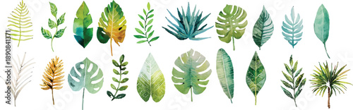 wheat ears vector illustration