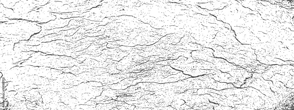 Fototapeta premium Black and White Grunge Cracks Overlay Vector Texture Abstract Distressed Surface Background