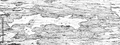 Grunge Distressed Vector Texture Overlay Aged Wood Grain or Peeling Paint Background Black and White Graphic Resource