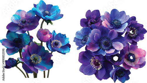 blue hyacinth isolated on white