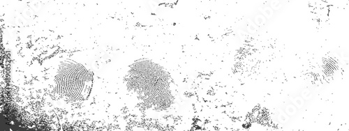 Multiple Fingerprints Grungy Vector Texture Overlay Black and White Identity and Security Background