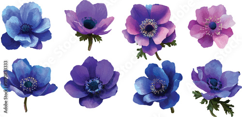 violet crocuses isolated on white